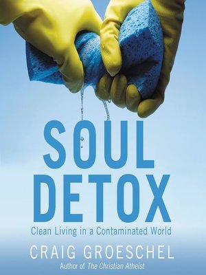 cover image of Soul Detox